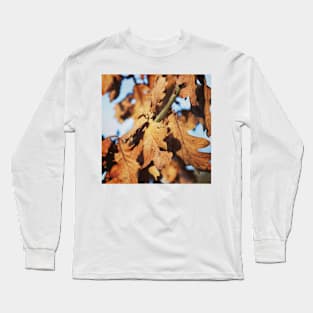 Autumn oak leaves Long Sleeve T-Shirt